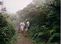 87 bosque Monteverde.jpg